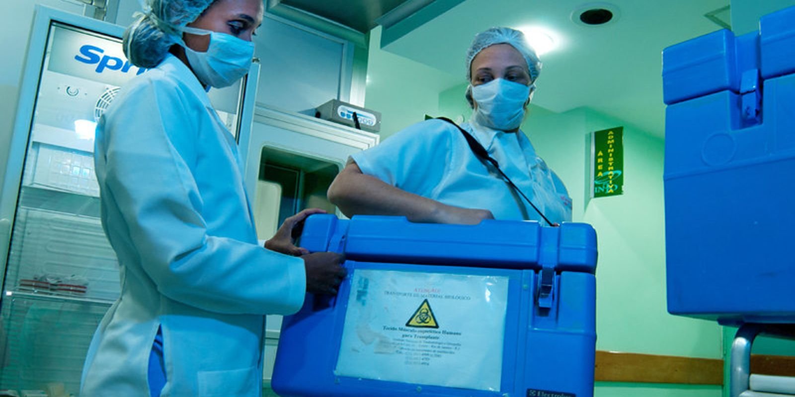 Idosos podem ser doadores vivos de órgãos após avaliação médica minuciosa