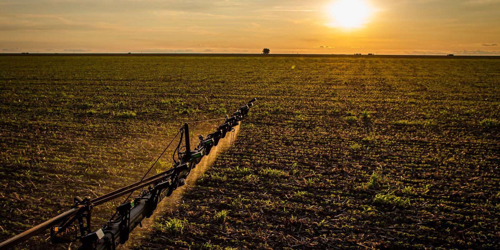 Lei 15.526 atualiza regras do seguro rural para reforçar proteção a produtores