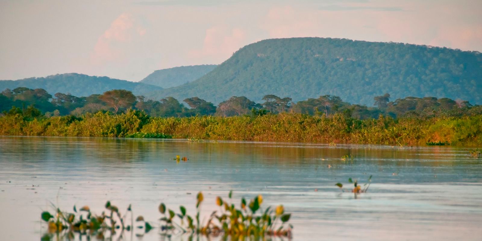 Cerrado perde 13,9 milhões de hectares de margens de rios