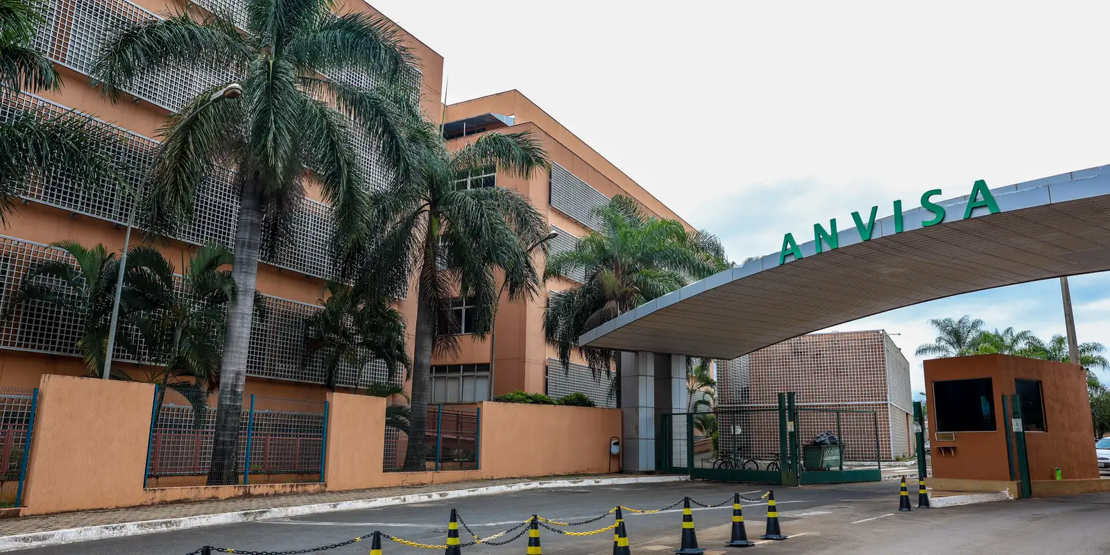 Anvisa aprova remédio contra esquistossomose para crianças