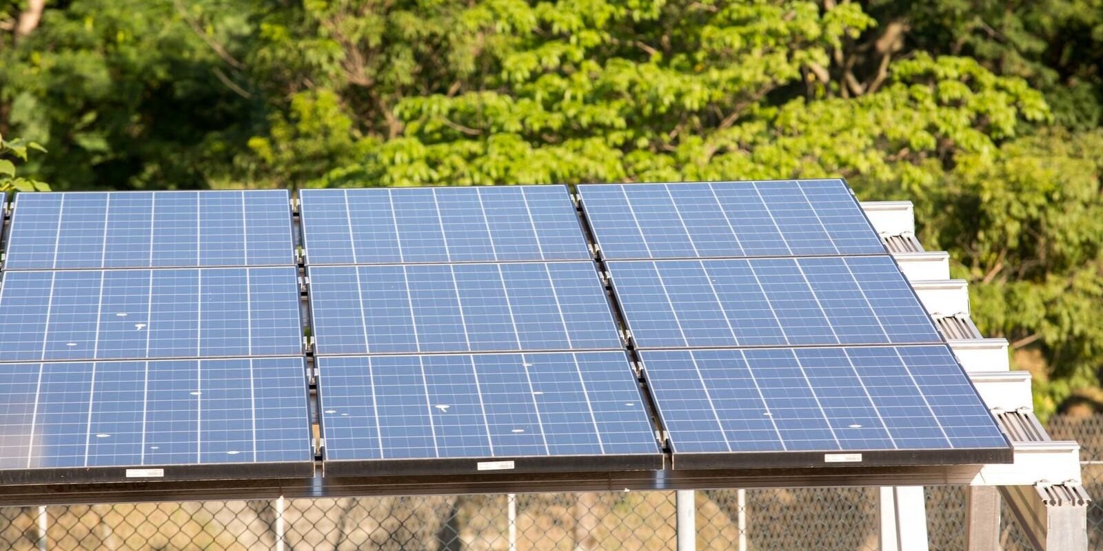 5º leilão do Eco Invest aprova R$ 49,95 bilhões para projetos verdes