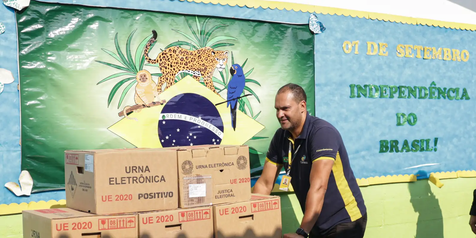Eleições 2026: saiba como conferir o local do voto em trânsito