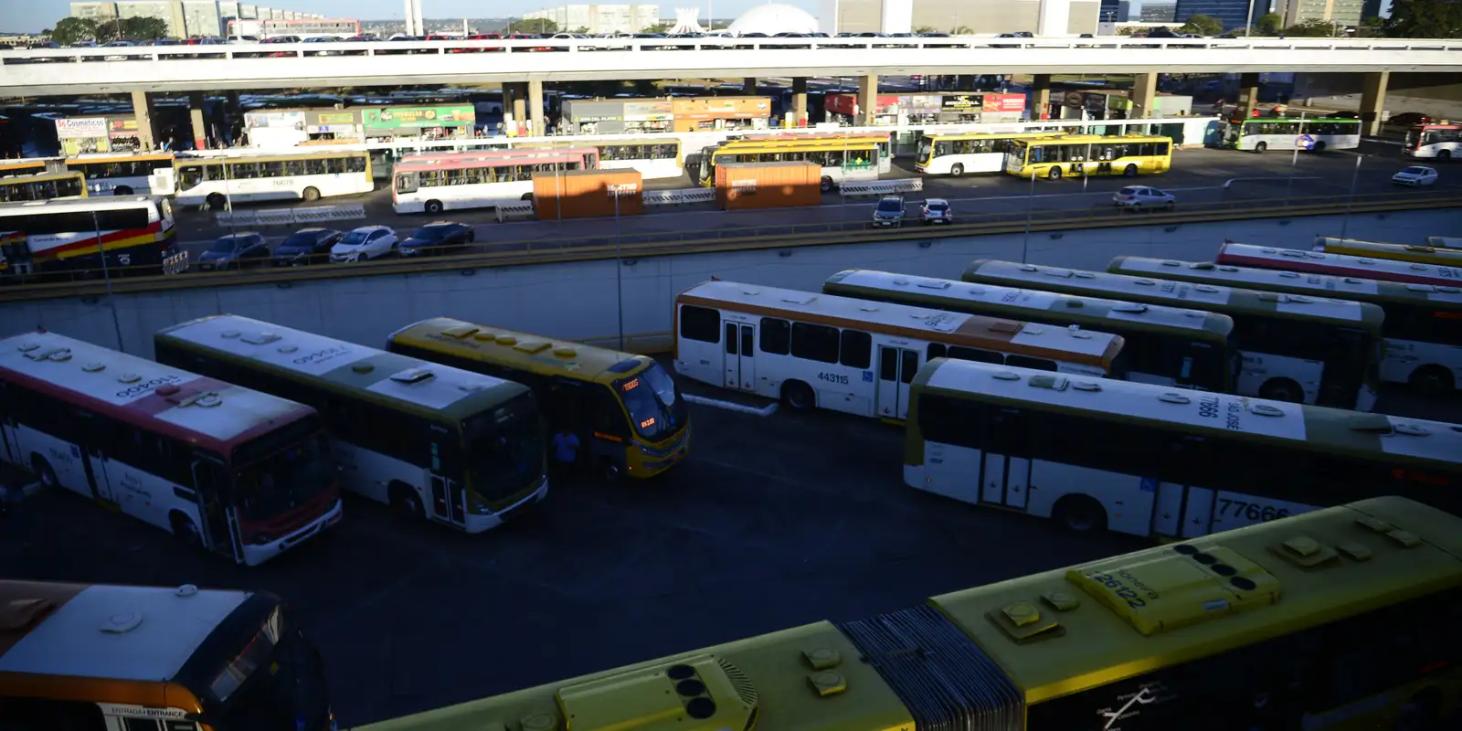 Nunes Marques cobra TREs sobre transporte gratuito nas eleições